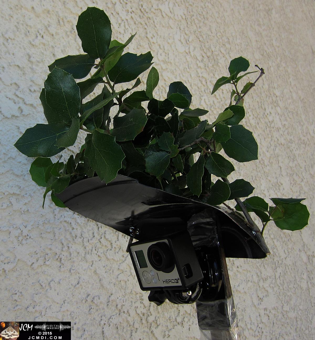 home-made GoPro wildlife camera rig